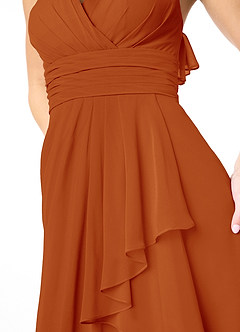 Azazie Aviv Final Sale Paprika A-Line Pleated Chiffon Dress image4