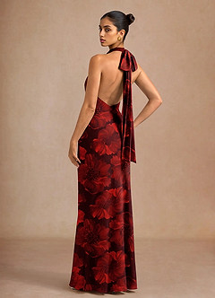 Dillon Carnelian Maxi Dress image6