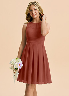 Azazie Bibiane Junior Auburn A-Line Pleated Chiffon Dress image4