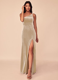 Azazie Kala Final Sale Champagne A-Line One Shoulder Velvet Dress image1