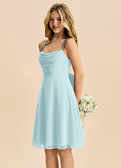 Azazie Bear Junior Sea Glass A-Line Pleated Chiffon Dress image4