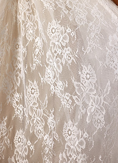 Azazie Demetria Wedding Dresses Diamond White Nude Ball-Gown Strapless Lace Dress image5