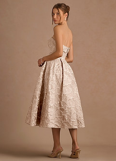 Desiree Vintage Blush Midi Dress image5