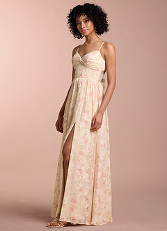 Blaire Blush Multi Maxi Dress image5