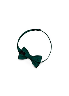 front Boy's Matte Satin Pre-Tied Bow Tie