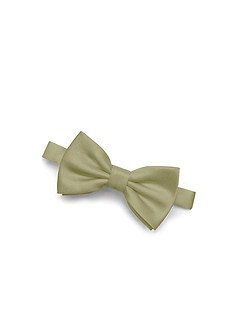 front Boy's Matte Satin Pre-Tied Bow Tie