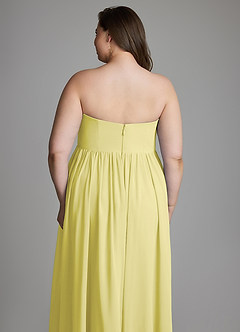 Azazie Saige Maternity Bridesmaid Dresses A-Line Pleated Chiffon Floor-Length Dress image17