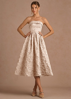 Desiree Vintage Blush Midi Dress image4