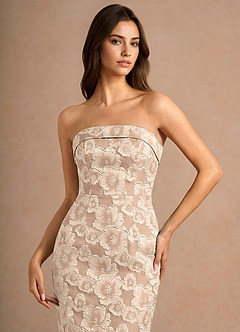 Valorae Vintage Blush Maxi Dress image6