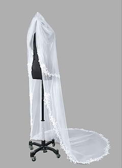 front Alex Lace Chapel Length Veil With Blusher