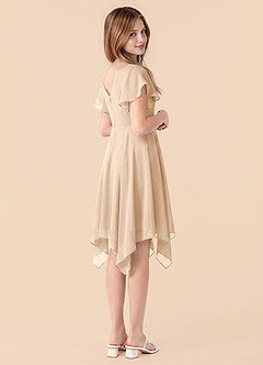 Azazie Janeaurelia Junior White Alabaster A-Line Pleated Chiffon Dress image2