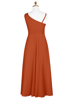 Azazie Dallas Junior Burnt Orange A-Line Pleated Chiffon Dress image7