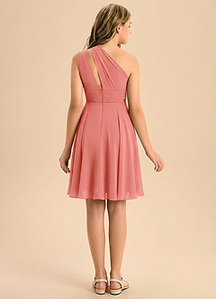 Azazie Charlize Junior Linia A Pofałdowany Szyfon Mini Młodsza druhna Sukienka image2