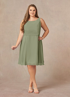 Azazie Shirley Mother of the Bride Dresses Pistachio A-Line Scoop Pleated Chiffon Dress image11