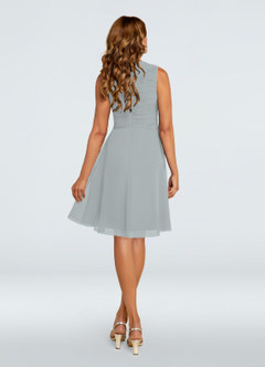 Azazie Theron Mother of the Bride Dresses Dolphin Grey A-Line V-Neck Pleated Chiffon Dress image4