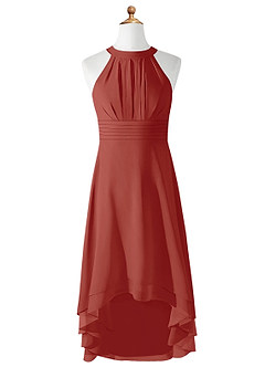 Azazie Linna Junior Terracotta A-Line Pleated Chiffon Dress image5