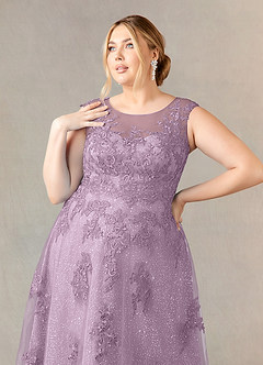 Azazie Flynn Mother of the Bride Dresses Wisteria A-Line Boatneck Lace Tulle Dress image10
