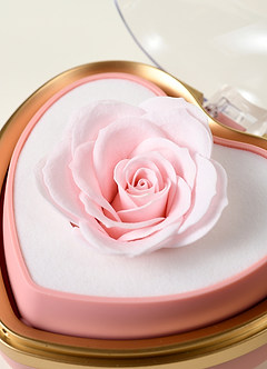 front Heart-Shaped Reversible Rose Jewelry Box