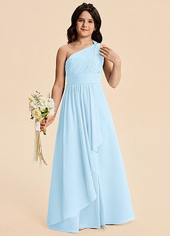 Azazie Skye Junior Vestido de Azul Cielo de Gasa de Corte en A con Plisado image1