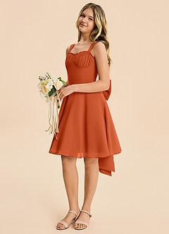 Azazie Arie Junior Burnt Orange A-Line Ruched Chiffon Dress image5