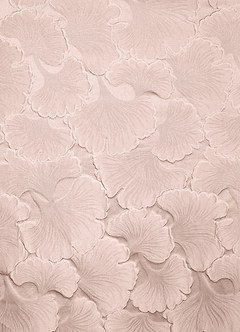 Rebecca Baby Pink Gown image8