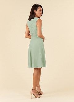 Azazie Theron Mother of the Bride Dresses Dusty Sage A-Line V-Neck Pleated Chiffon Dress image4