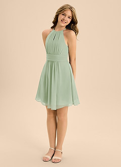 Azazie Bonnie Junior Dusty Sage A-Line Pleated Chiffon Dress image4