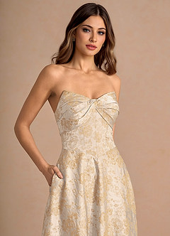 Kersti Vintage Champagne Maxi Dress image5