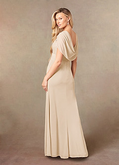 Azazie Luisa Mother of the Bride Dresses Champagne Mermaid V-Neck Pleated Mesh Dress image6