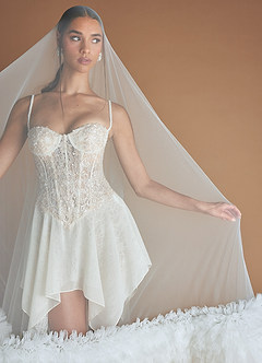 Ariana Vanilla Mini Dress & Veil image8