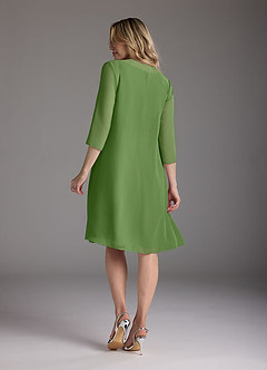 Azazie Shirley Mother of the Bride Dresses Basil A-Line Scoop Pleated Chiffon Dress image3