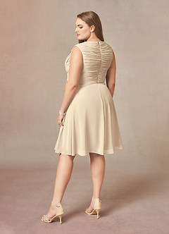 Azazie Theron Mother of the Bride Dresses Champagne A-Line V-Neck Pleated Chiffon Dress image4
