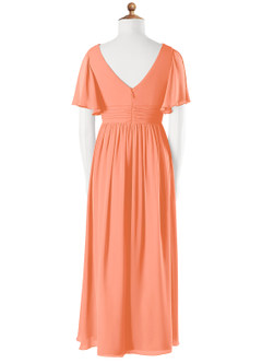 Azazie Temeka Junior Sunset A-Line Pleated Chiffon Dress image5
