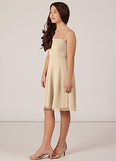 Azazie Kalie Junior Champagne A-Line with Belt Chiffon Dress image3