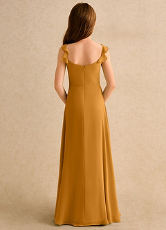 Azazie Puppy Girls Formal Flower Girl Dresses Butterscotch A-Line Pleated Chiffon Dress image2