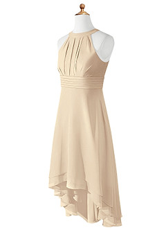 Azazie Linna Junior Champagne A-Line Pleated Chiffon Dress image7