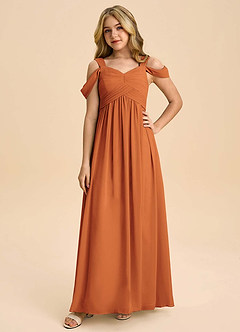 Azazie Lianne Junior Cinnamon A-Line Off the Shoulder Chiffon Dress image3