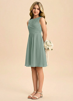 Azazie Skyla Junior Silver Sage A-Line Pleated Chiffon Dress image4