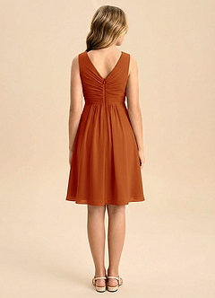 Azazie Skyla Junior Vestido de Pimenton de Gasa de Corte en A con Plisado image2