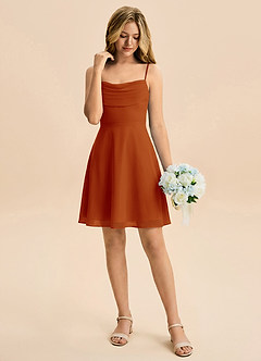 Azazie Bear Junior Paprika A-Line Pleated Chiffon Dress image3