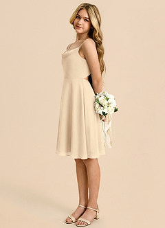 Azazie Shale Linia A Ukłon Szyfon Mini Młodsza druhna Sukienka image1