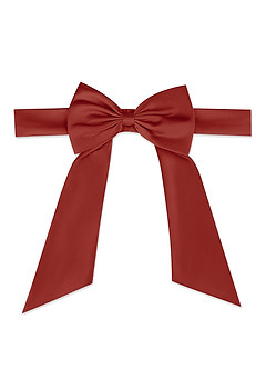 front Matte Satin Sash with Back Bow