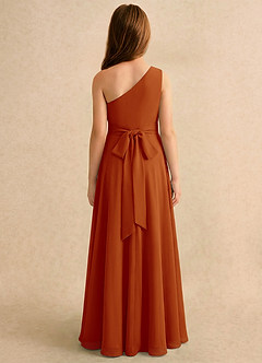 Azazie Puddles Girls Formal 플라워 걸 드레스 A라인 한쪽 어깨 쉬폰 플로어 길이 드레스 image2