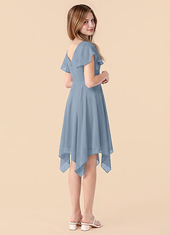Azazie Janeaurelia Junior Dusty Blue A-Line Pleated Chiffon Dress image2
