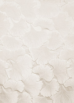 Rebecca French White Gown image8