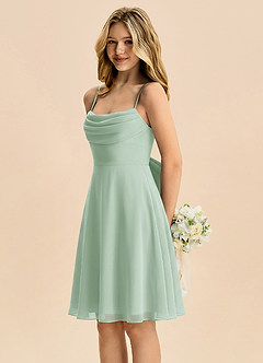 Azazie Bear Junior Agave A-Line Pleated Chiffon Dress image4