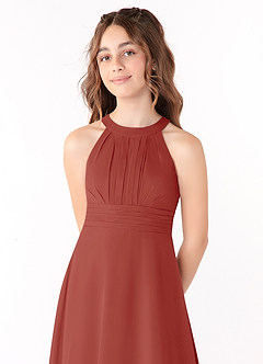 Azazie Linna Junior Terracotta A-Line Pleated Chiffon Dress image4