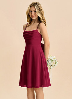 Azazie Bear Junior Burgundy A-Line Pleated Chiffon Dress image4