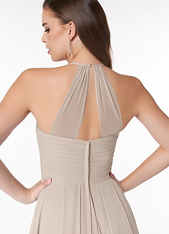 Azazie Ginger Bridesmaid Dresses Frost A-Line Halter Pleated Chiffon Dress image3