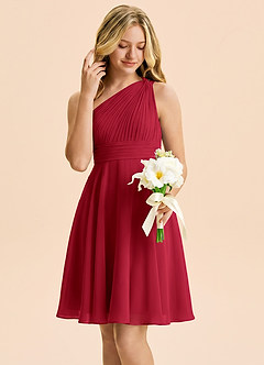 Azazie Charlize Junior Scarlet A-Line Pleated Chiffon Dress image4